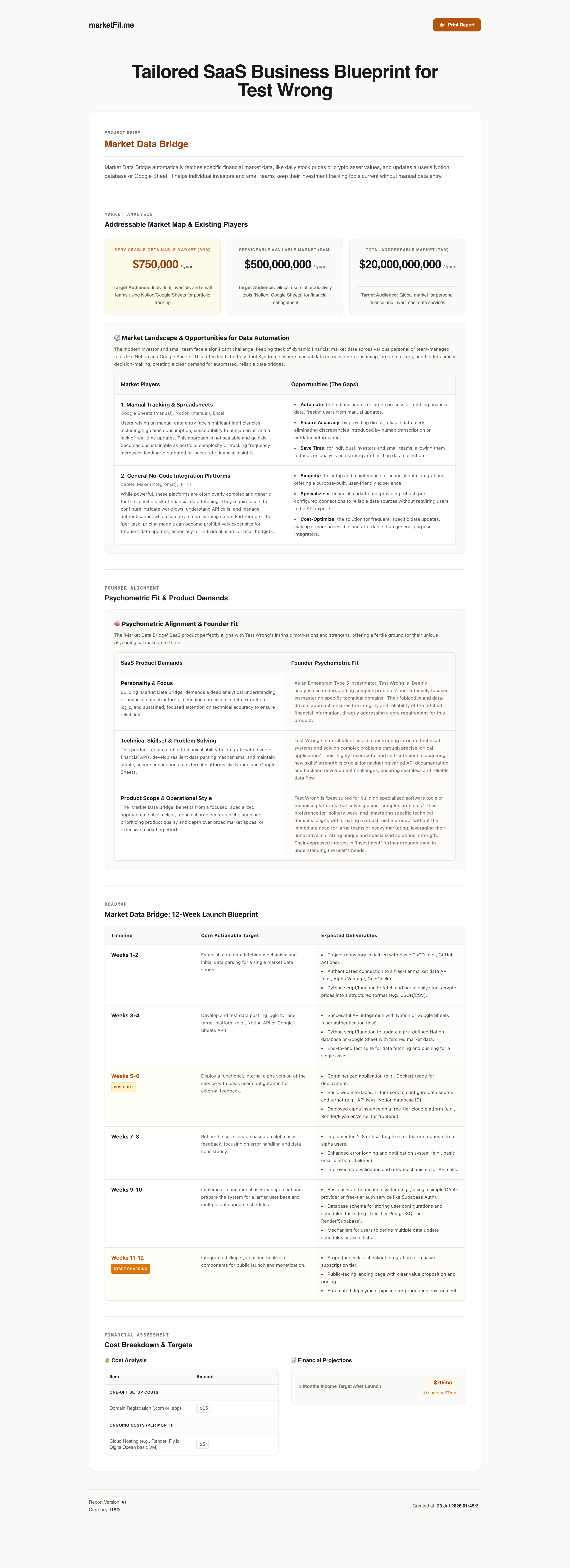 Full Business Blueprint Market Analysis and Financial Target Report Preview