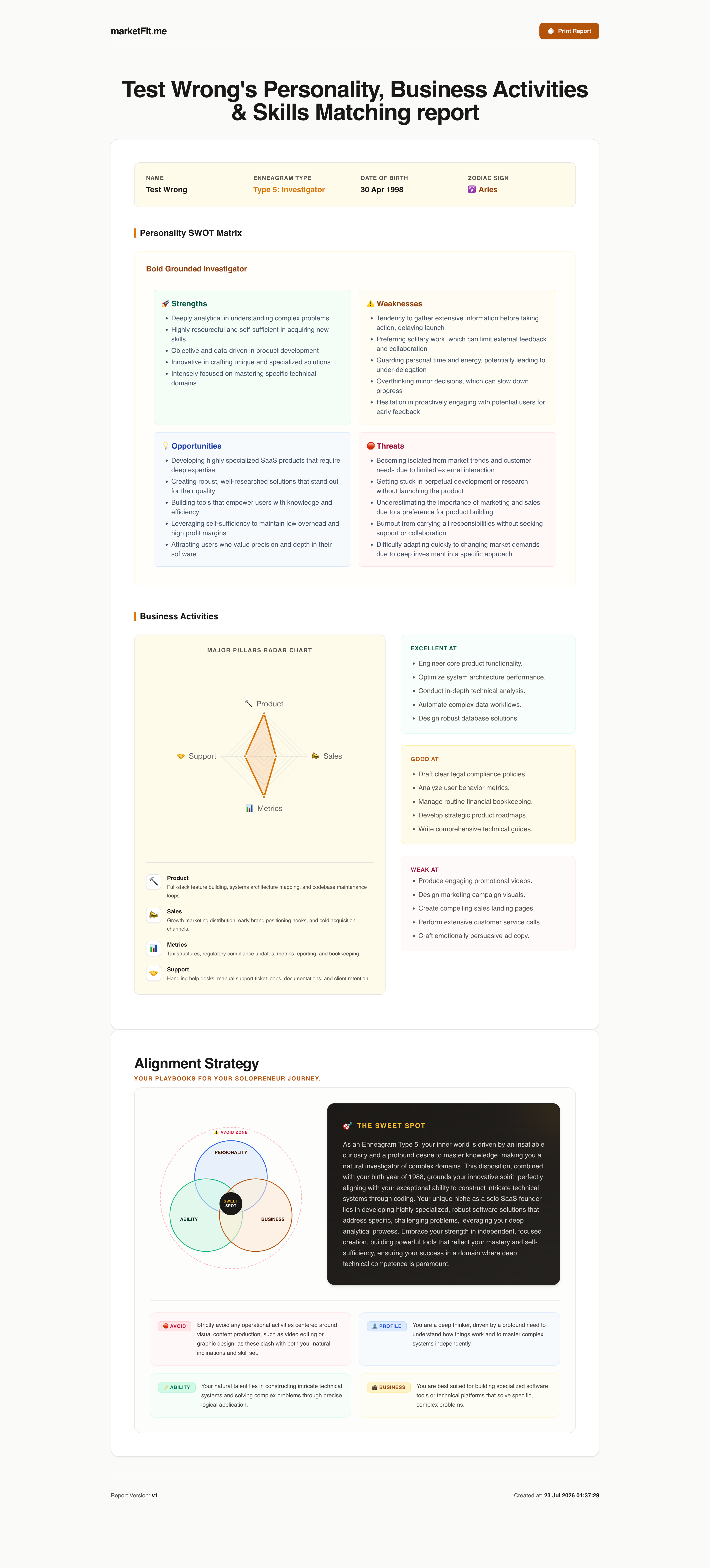 Full Enneagram SWOT Analysis and Skill Alignment Report Preview